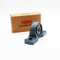 Blocco del cuscino del cuscino del cuscino SKF all'ingrosso UCP305 con ghisa